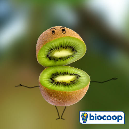 le fruit du mois de décembre : le kiwi le fruit du mois de décembre : le kiwi